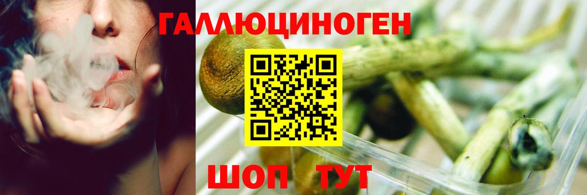 Карачаевск  Псилоцибиновые грибы Psilocybe  Галлюциногенные грибы прущие грибы  Вход с VPN 